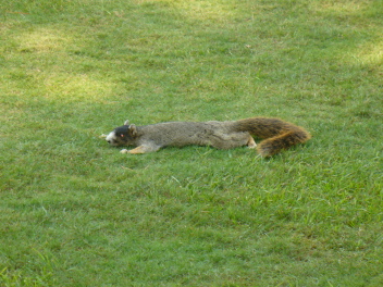 2006-09-26 20-25-03.JPG